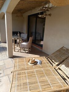 IMG_20250318_135956